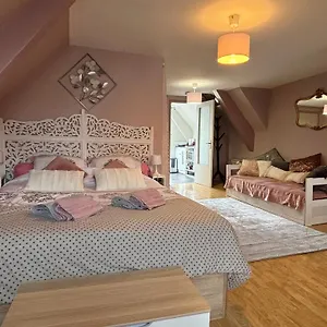  Appartement Le Grenier De Charme Centre Historique